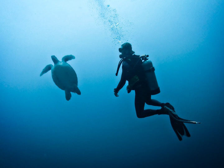 Gili-diving